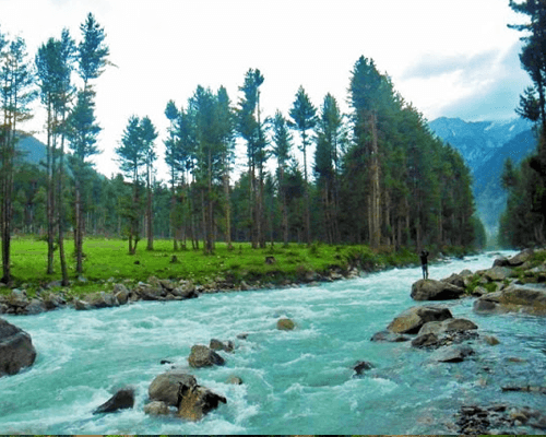 Kumrat-Valley-Tour-Packages